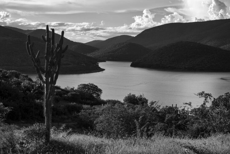 Obra de Álvaro Villela