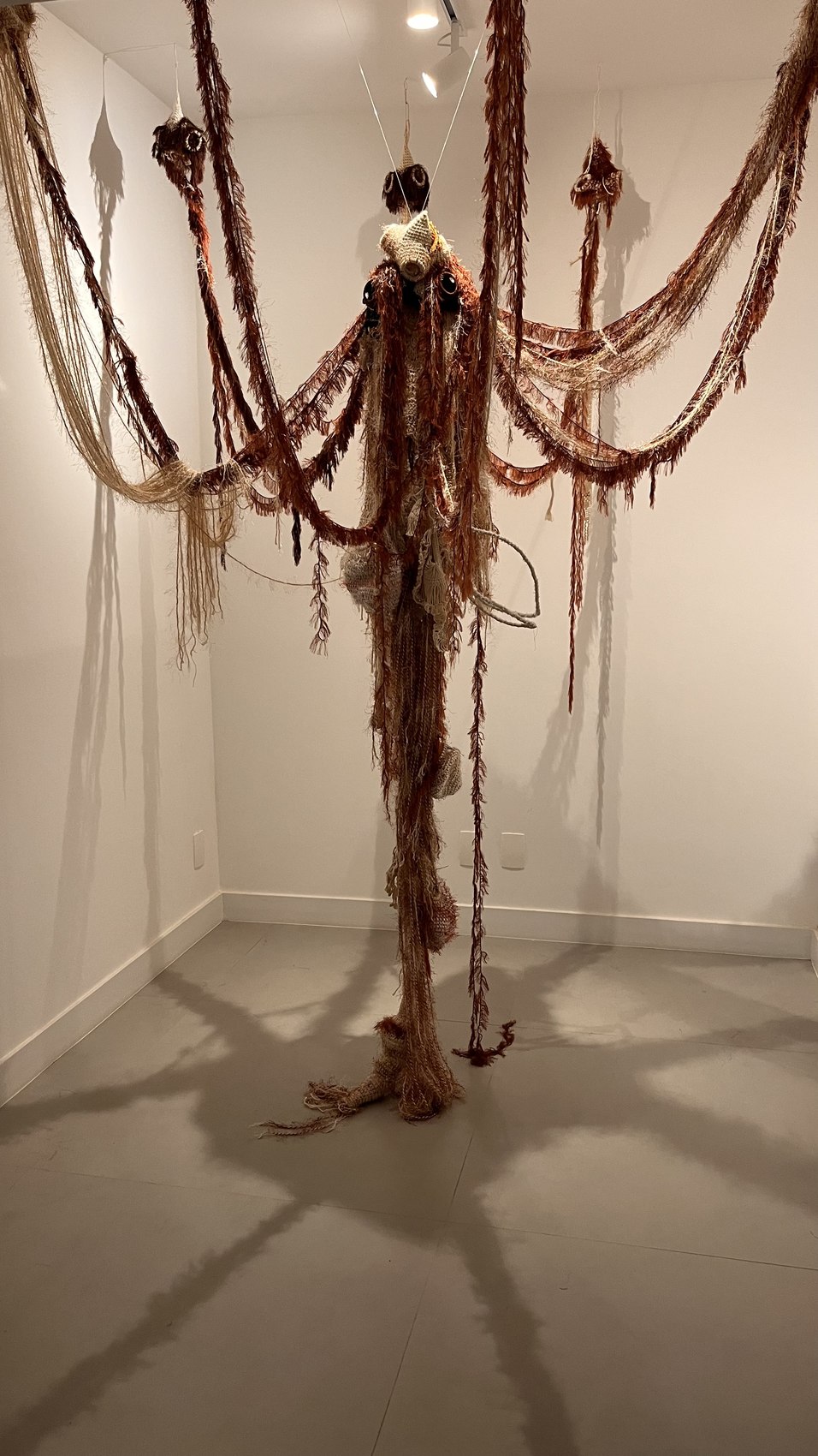 Obra de Dôra Araújo