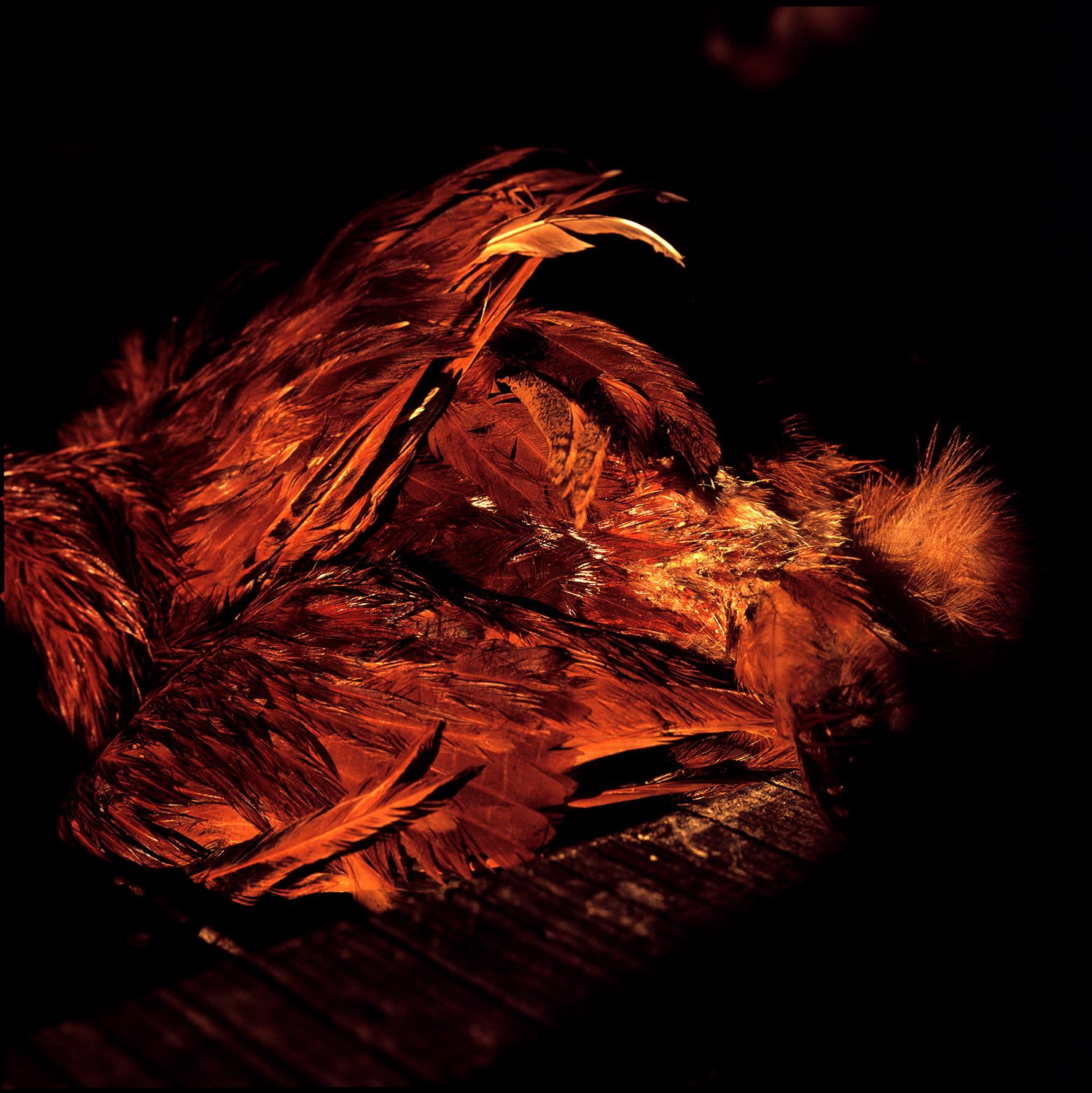 Obra de Hirosuke Kitamura